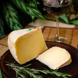 CASTELLANZA TOMA DOP