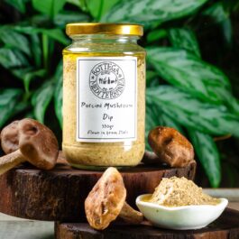 BOTTEGA PORCINI MUSHROOM CREAM SAUCE 330GR