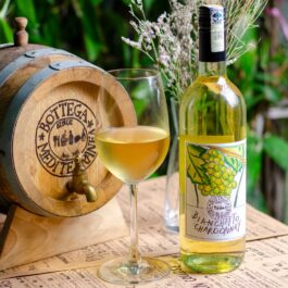 BOTTEGA BIANCHETTO CHARDONNAY 75CL