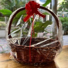 Basket Wrap - Size L