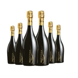 Bottega Brut Millesimato X 6BTL
